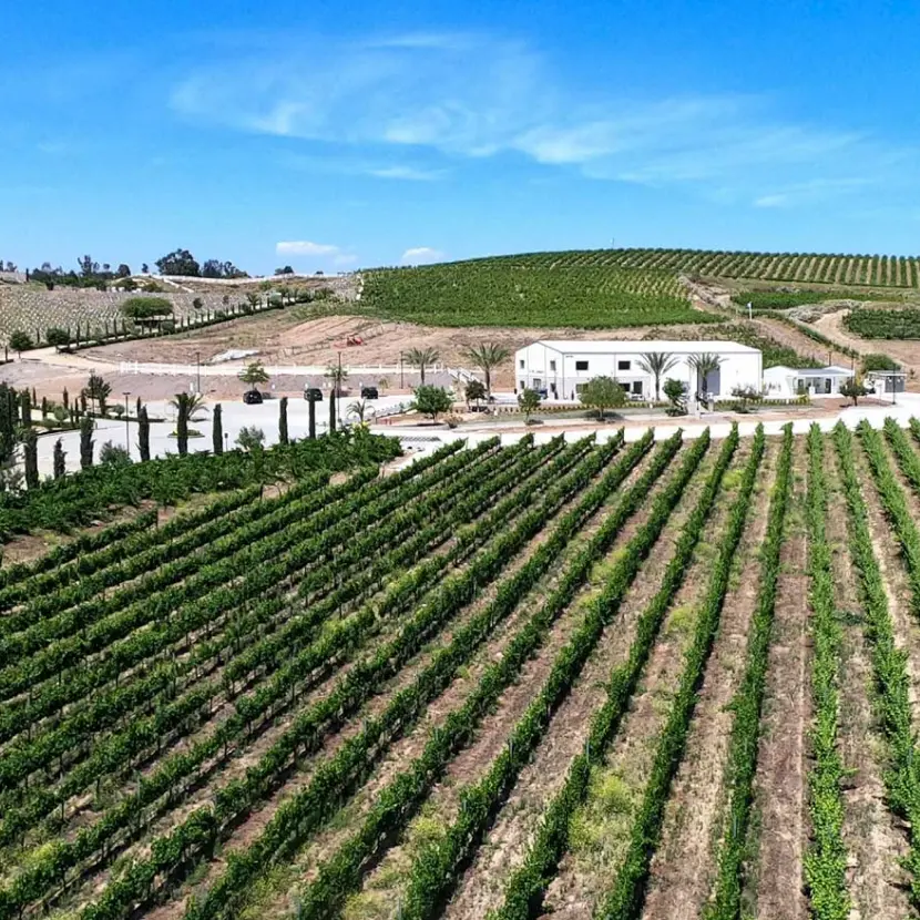 Temecula Wineries