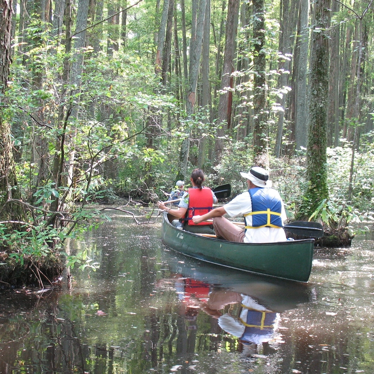 Robertson Millpond Preserve