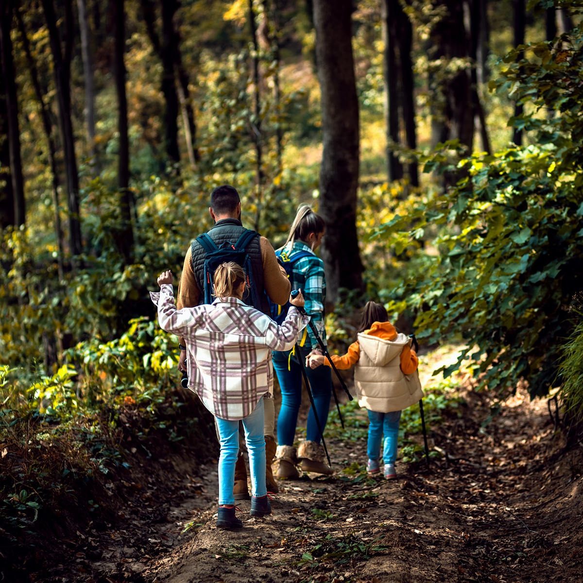 Kleb Woods Nature Preserve