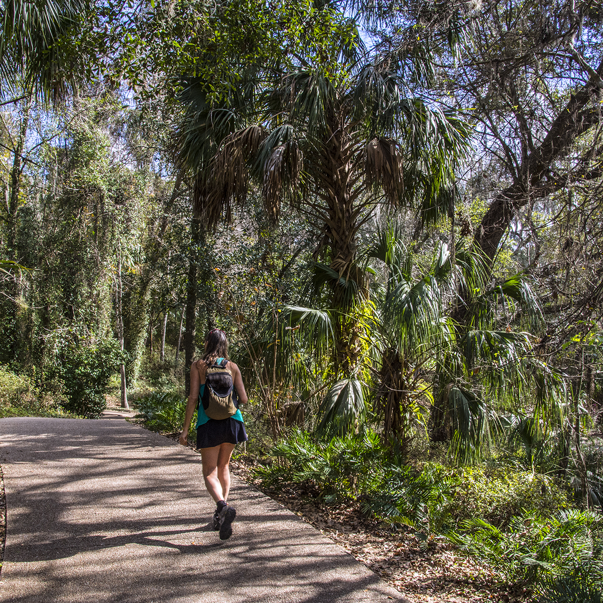 Four Mile Cove Ecological Preserve