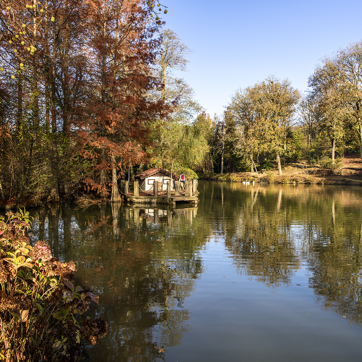 Lake Norman State Park