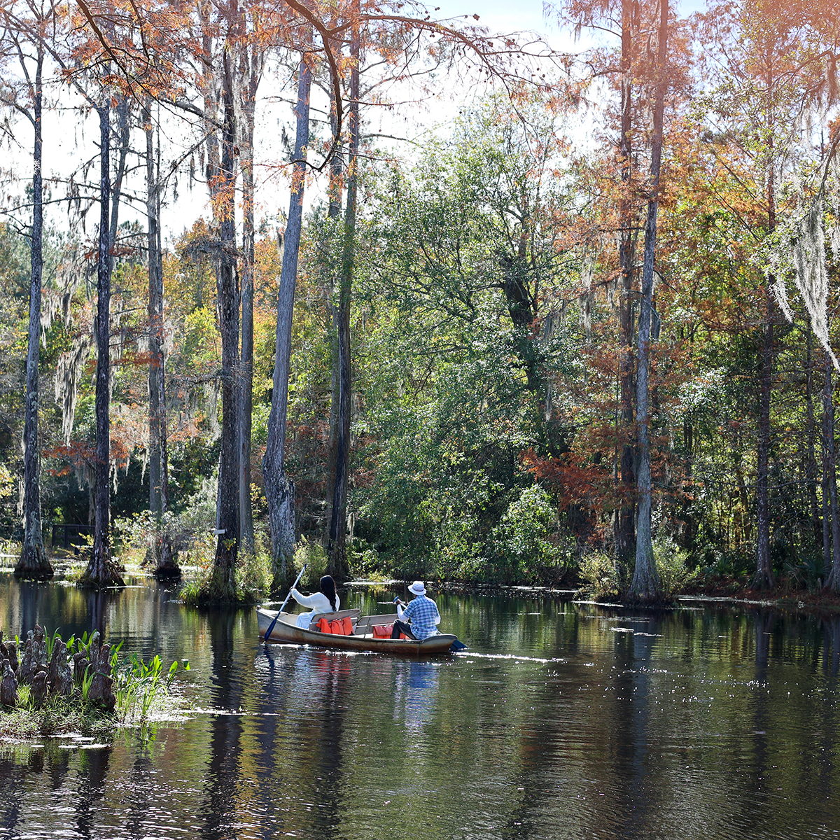 Robertson Millpond Preserve