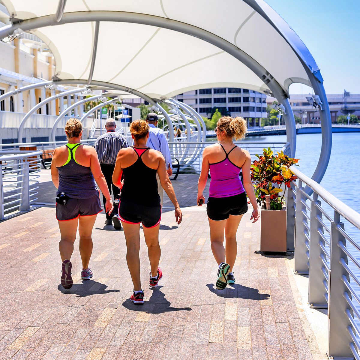 Tampa River Walk