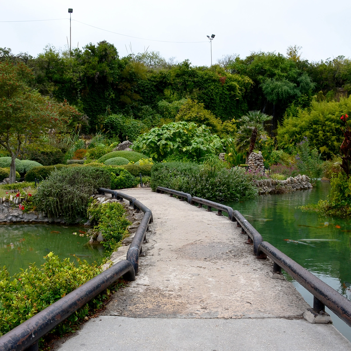 Brackenridge Park