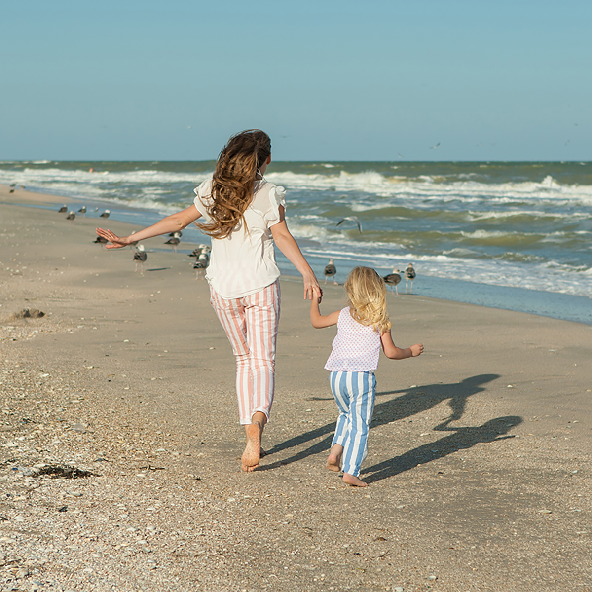 Apoll Beach Nature Preserve